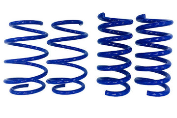 Steeda Mustang GT Drag Springs - Linear (2015-2024)