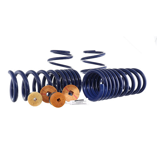 2024 MUSTANG 5.0L TRACK LOWERING SPRING KIT